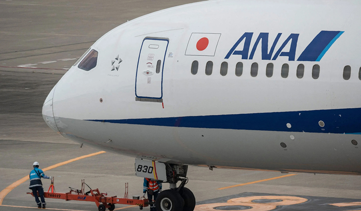 ANA plane